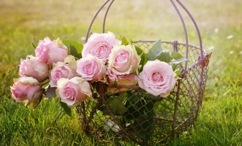 أنواع الورد