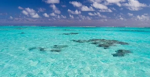 البحر في المنام