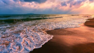 البحر في المنام