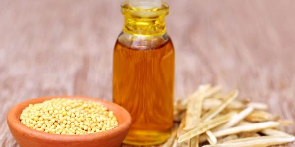 زيت الخردل الاصلي