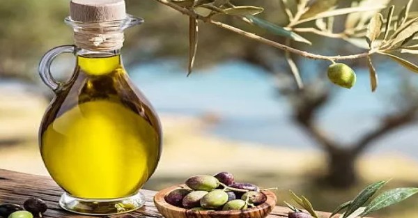 فوائد شرب زيت الزيتون