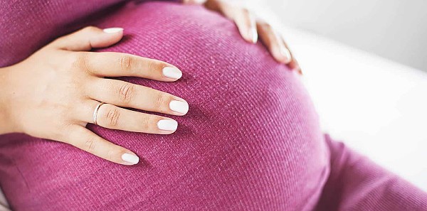 جرثومة الحمل