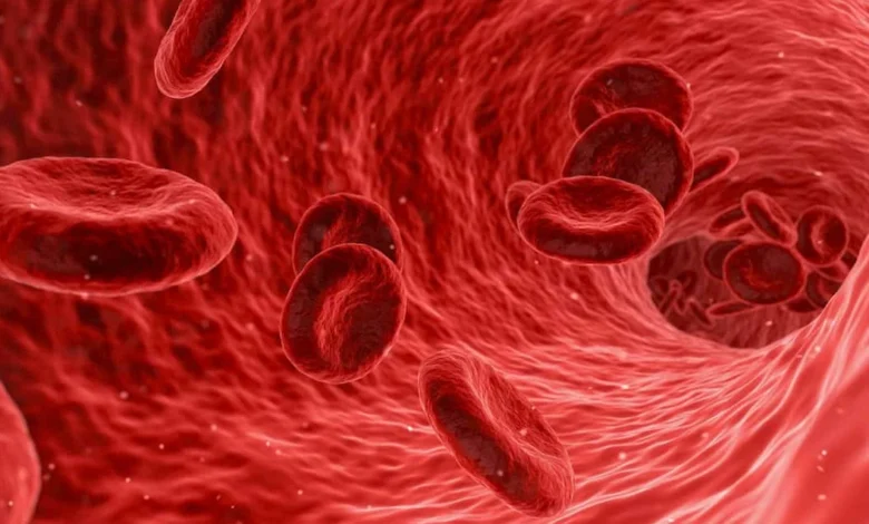 علاج فقر الدم