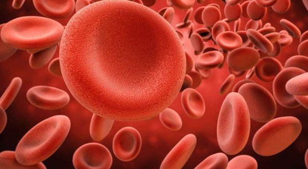 علاج فقر الدم