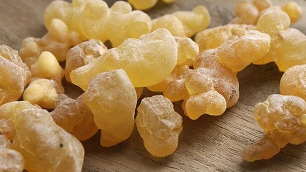 لبان الذكر للحمل