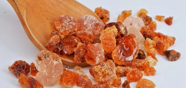 لبان الذكر للحمل