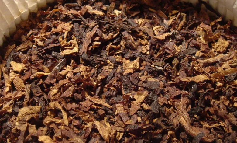 أضرار الشمة