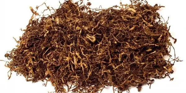 أضرار الشمة