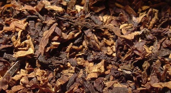 أضرار الشمة