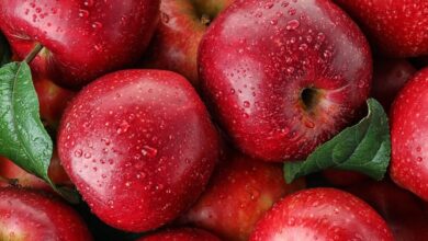 فوائد التفاح