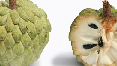 السفرجل الهندي