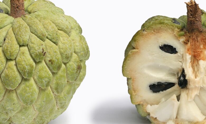 السفرجل الهندي