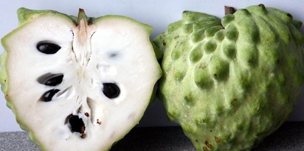 فوائد السفرجل الهندي