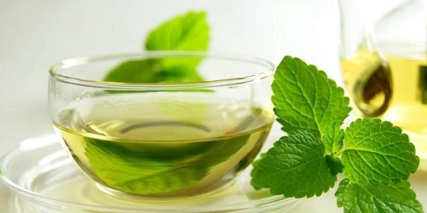 فوائد الشاي الأخضر