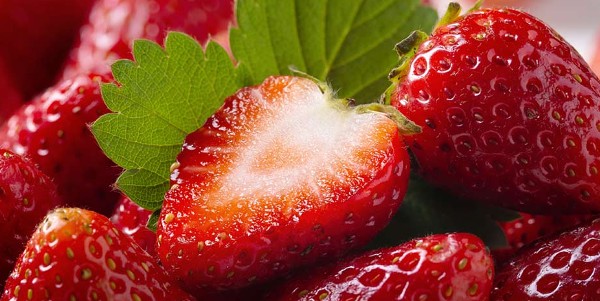 فوائد الفريز