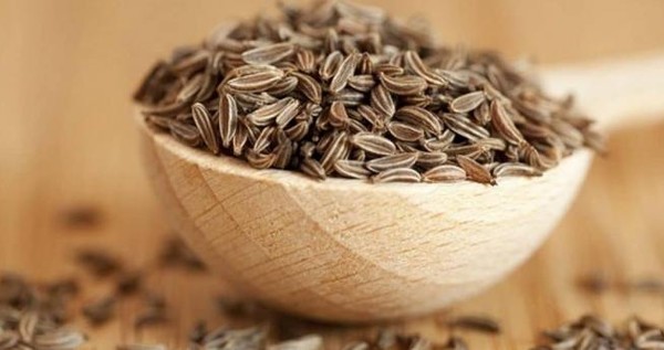 فوائد الكراوية