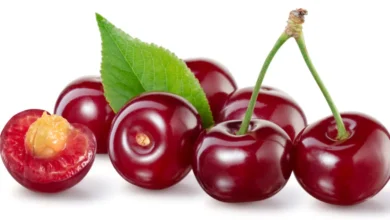 فوائد الكريز