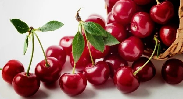 فوائد الكريز