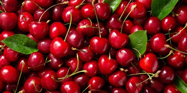 فوائد الكريز