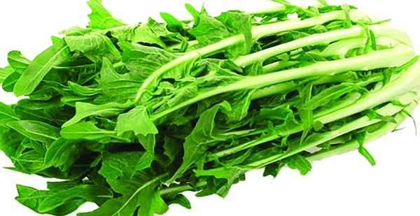 فوائد الهندباء