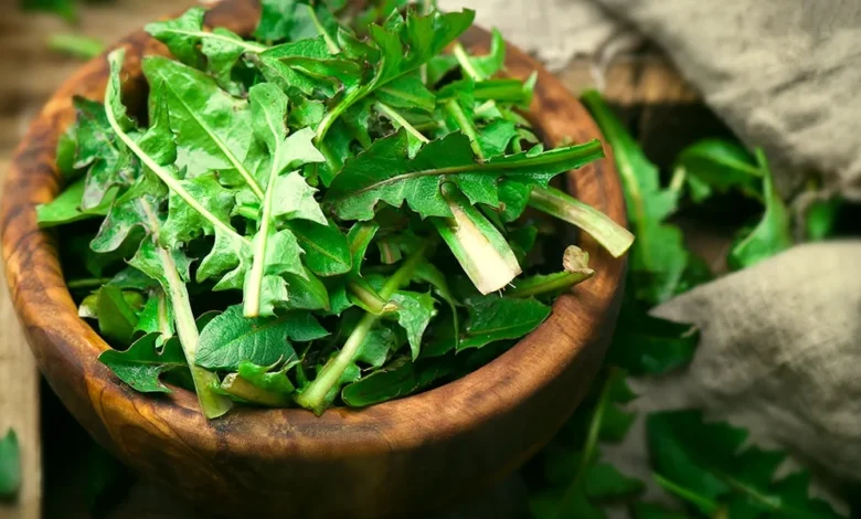 فوائد الهندباء