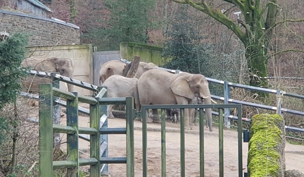 افضل اماكن السياحية في فوبرتال