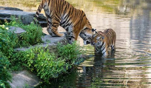 افضل أماكن السياحية في كولن