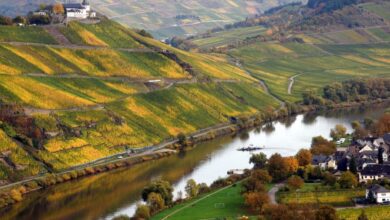 افضل الأماكن السياحية في فورتسبورغ