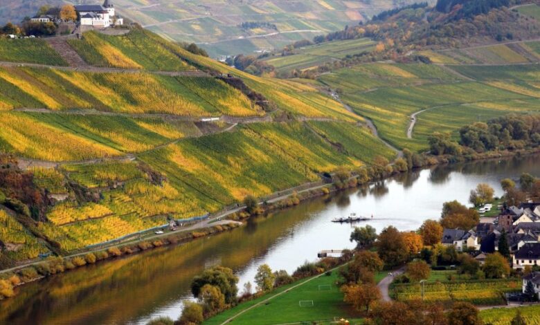 افضل الأماكن السياحية في فورتسبورغ