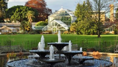 افضل اماكن السياحية في بوخوم