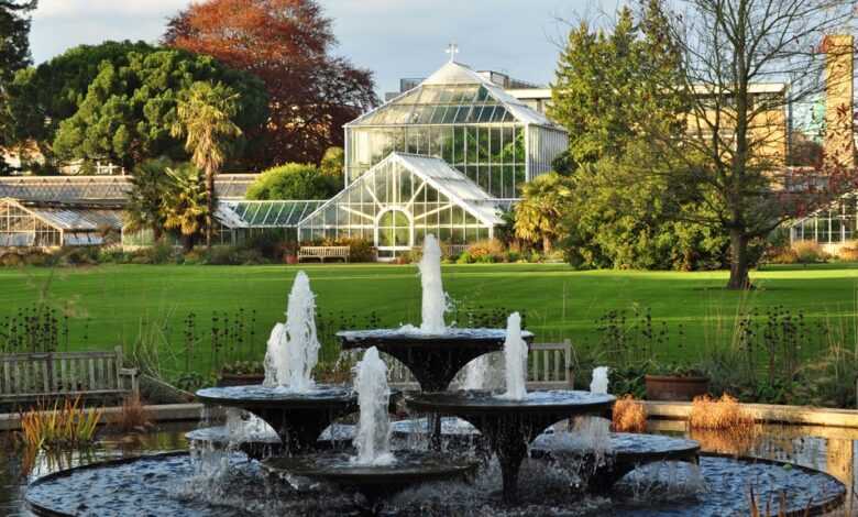 افضل اماكن السياحية في بوخوم