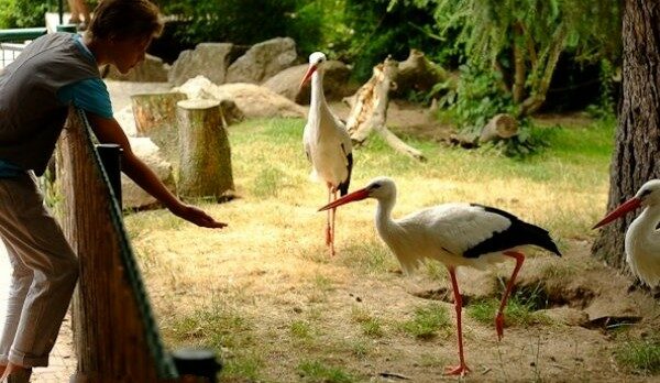 افضل الأماكن السياحية في براونشفايغ