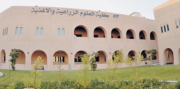 تخصصات جامعة الملك فيصل