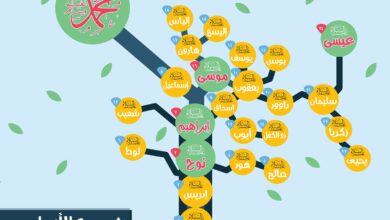 أسئلة عن الأنبياء