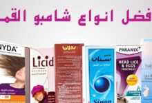 افضل شامبو للقمل