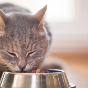 Midnight Gala Maxi Dress